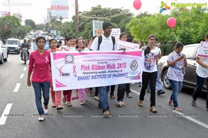 Ushalakshmi Breast Cancer Foundation Pink Ribbon Walk 2012