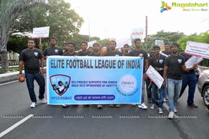 Ushalakshmi Breast Cancer Foundation Pink Ribbon Walk 2012