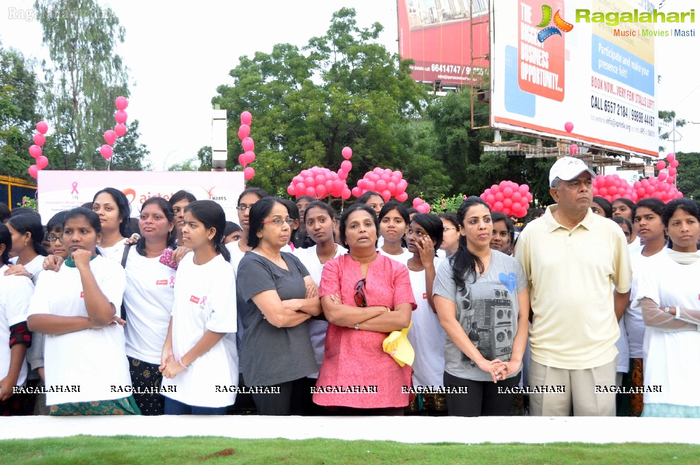 UBF Pink Ribbon Walk 2012, Hyderabad