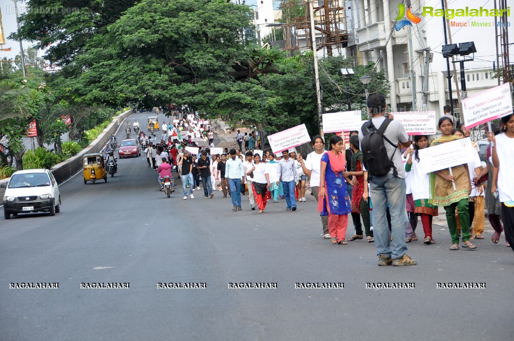 UBF Pink Ribbon Walk 2012, Hyderabad