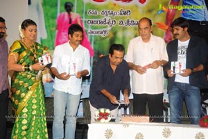 Raja Rajeswari Pictures Lucky Audio Release