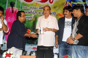 Raja Rajeswari Pictures Lucky Audio Release