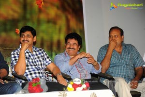 Raja Rajeswari Pictures Lucky Audio Release