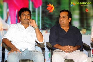 Raja Rajeswari Pictures Lucky Audio Release