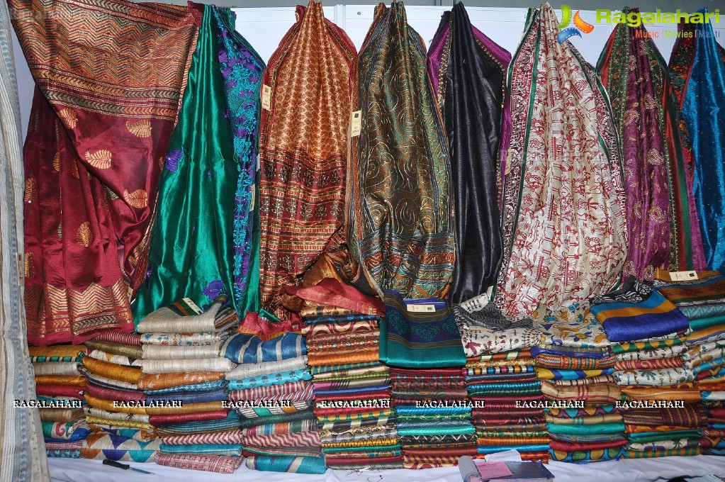 Silk Mark Expo 2012, Hyderabad