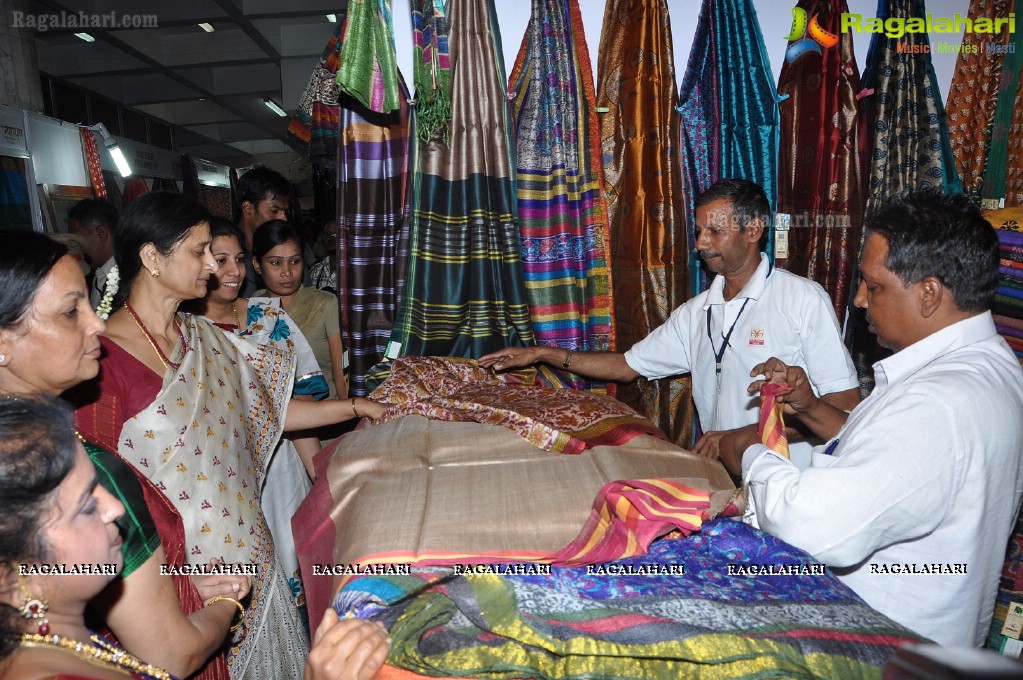 Silk Mark Expo 2012, Hyderabad