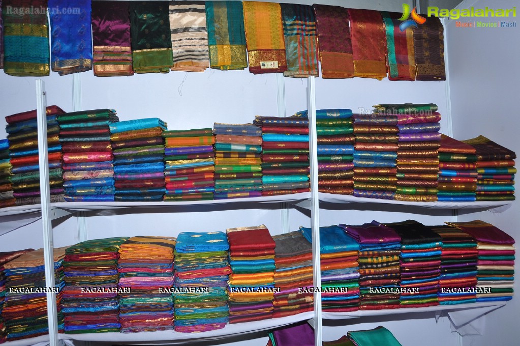 Silk Mark Expo 2012, Hyderabad