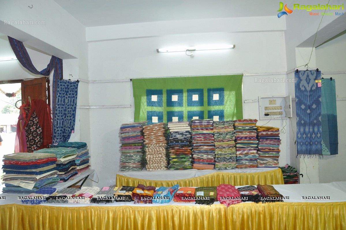 Pochampally IKAT Mela 2012