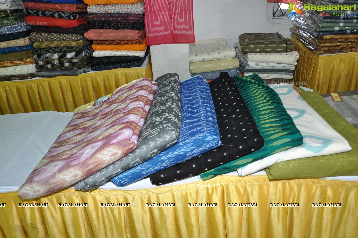 Pochampally IKAT Mela 2012