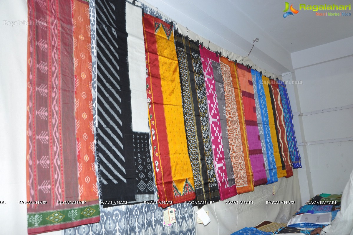 Pochampally IKAT Mela 2012