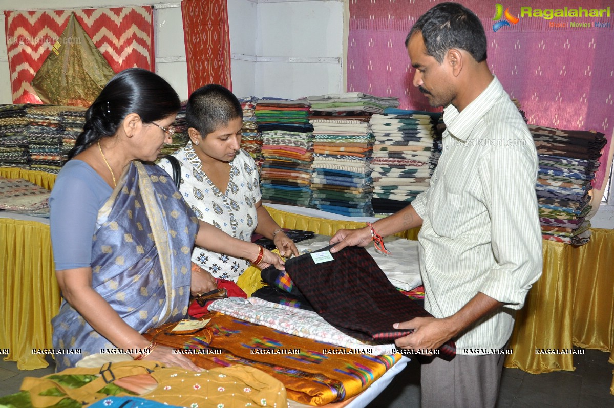 Pochampally IKAT Mela 2012