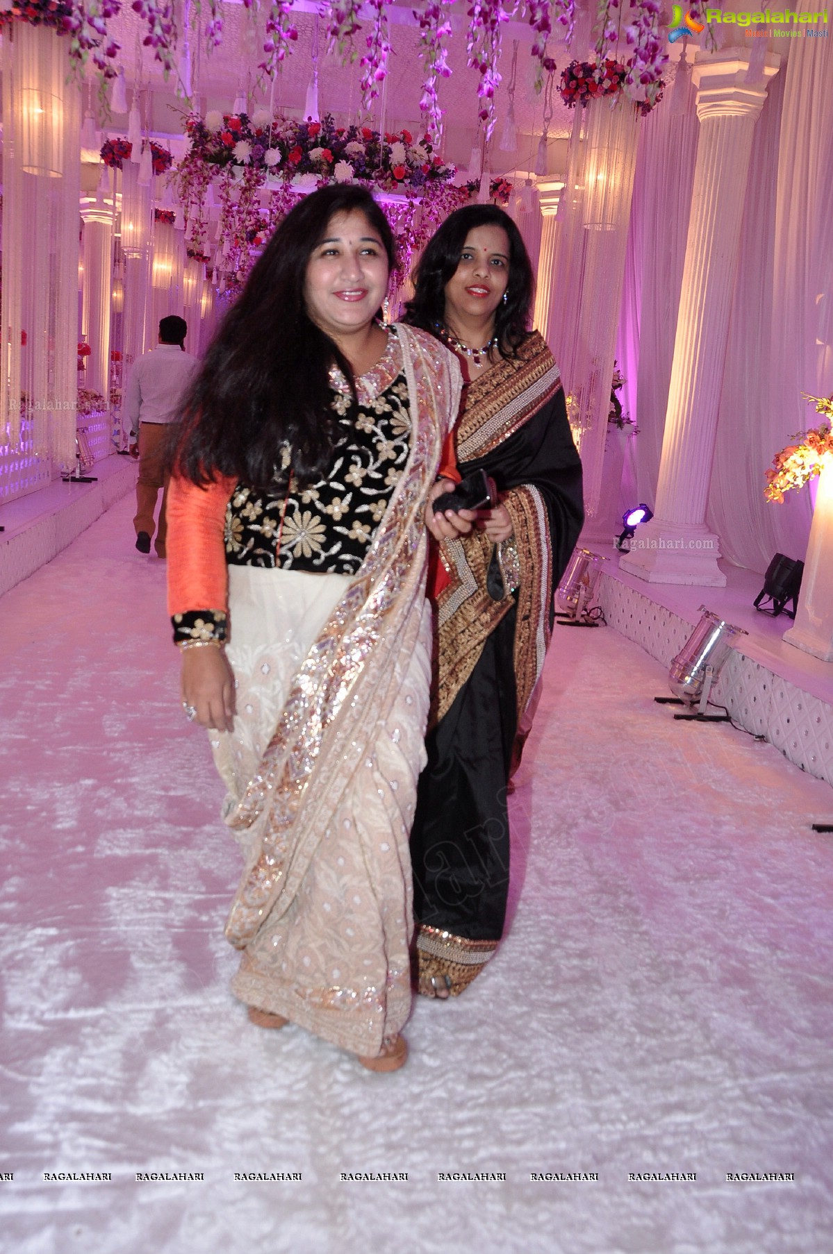 Vishnu-Shweta Wedding Reception