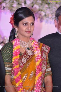 Vishnu Shweta Wedding Reception