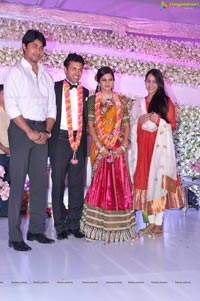 Vishnu Shweta Wedding Reception