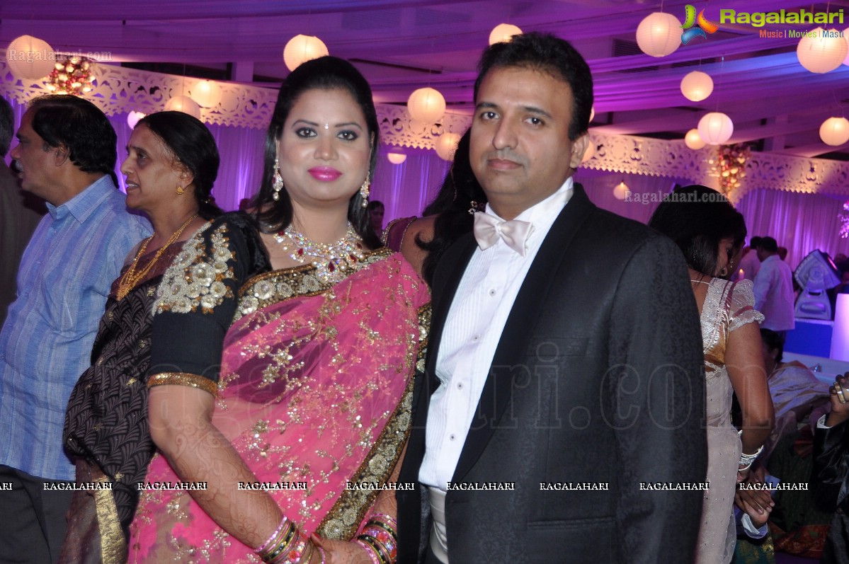 Vishnu-Shweta Wedding Reception