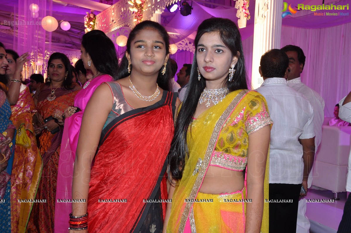 Vishnu-Shweta Wedding Reception