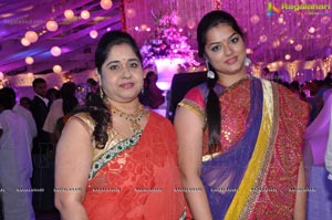 Vishnu Shweta Wedding Reception