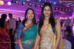 Vishnu Shweta Wedding Reception