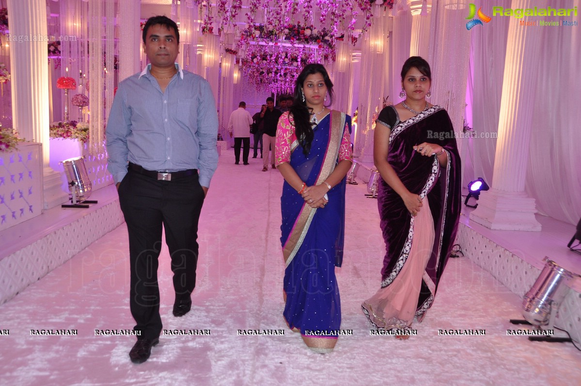 Vishnu-Shweta Wedding Reception