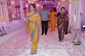 Vishnu Shweta Wedding Reception