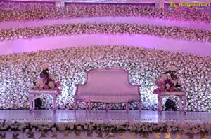 Vishnu Shweta Wedding Reception