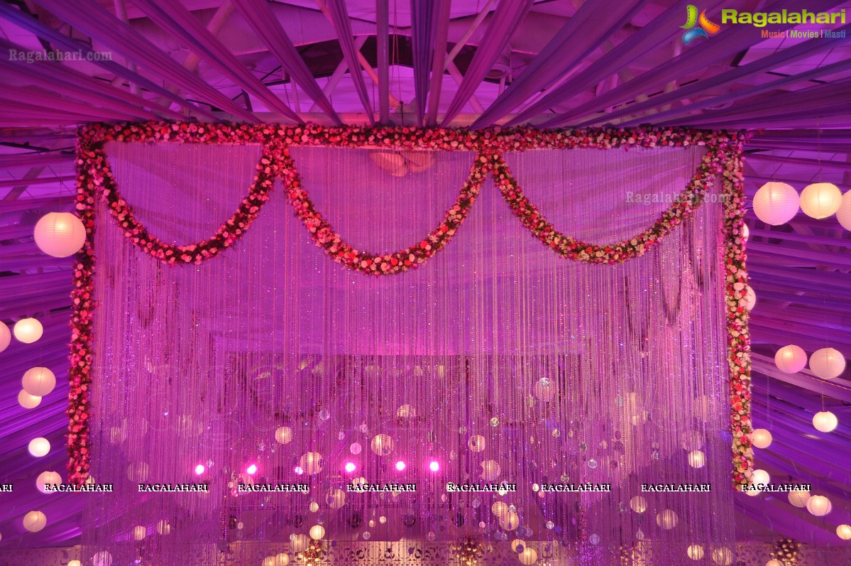 Vishnu-Shweta Wedding Reception