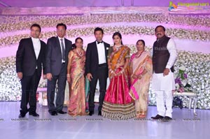 Vishnu Shweta Wedding Reception