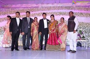 Vishnu Shweta Wedding Reception