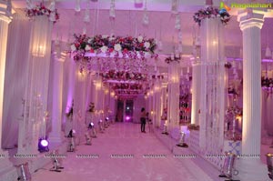 Vishnu Shweta Wedding Reception