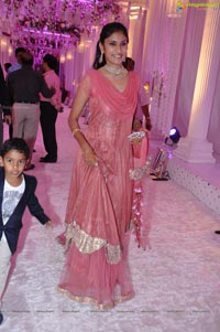 Vishnu Shweta Wedding Reception