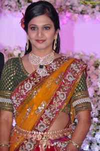 Vishnu Shweta Wedding Reception