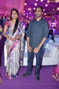 Vishnu Shweta Wedding Reception