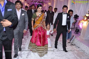 Vishnu Shweta Wedding Reception