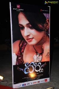 Varna Audio Launch Venue Photos