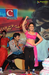 Aadu Magadraa Bujji Audio Release