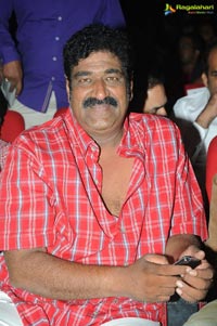 Attharintiki Daaredhi Success Meet