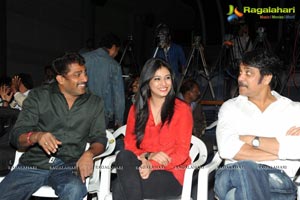 Bhai Triple Platinum Disc Function