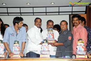 Shiva Kesav Platinum Disc Function