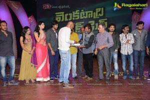 Venkatadri Express Audio Release