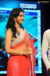 Venkatadri Express Audio Release