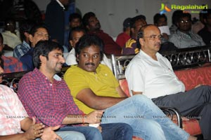 Venkatadri Express Audio Release