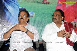 Writer Audio Release