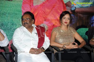 Writer Audio Release