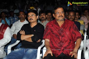 Writer Audio Release