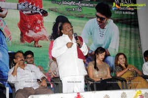 Writer Audio Release