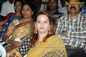 Writer Audio Release