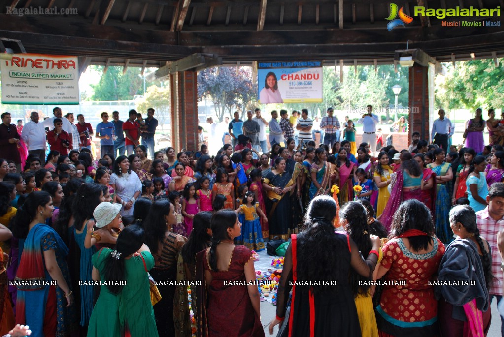 Bathukamma Celebrations by (TCA), Bay Area, CA, USA