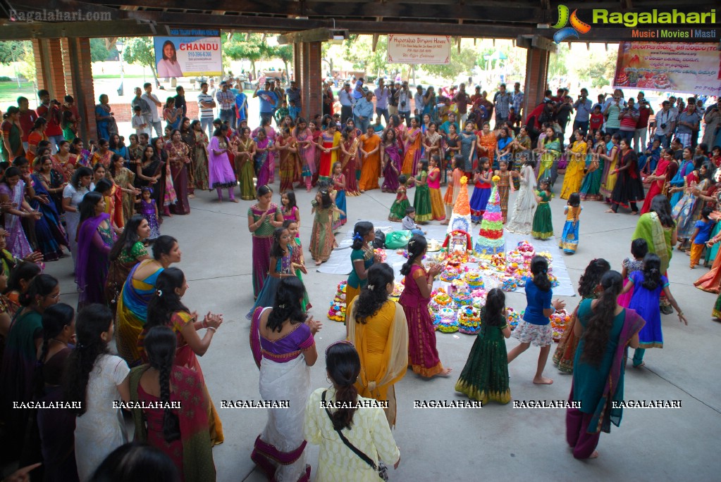 Bathukamma Celebrations by (TCA), Bay Area, CA, USA