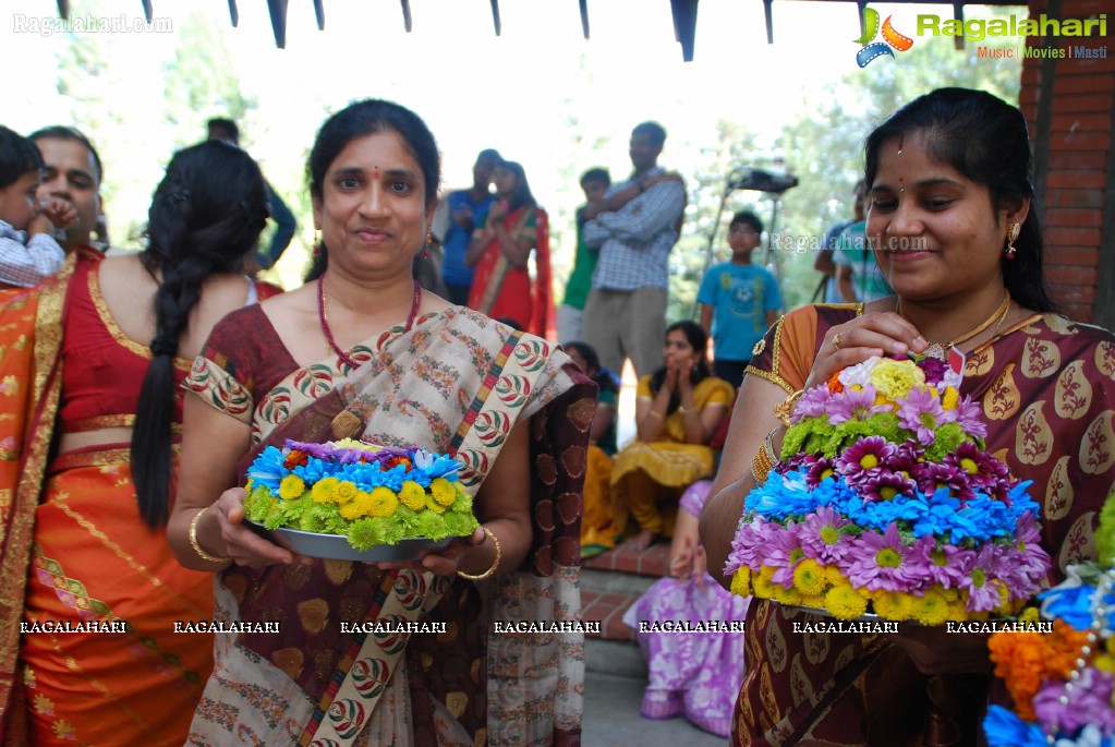 Bathukamma Celebrations by (TCA), Bay Area, CA, USA