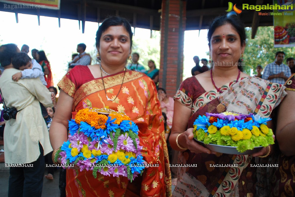 Bathukamma Celebrations by (TCA), Bay Area, CA, USA